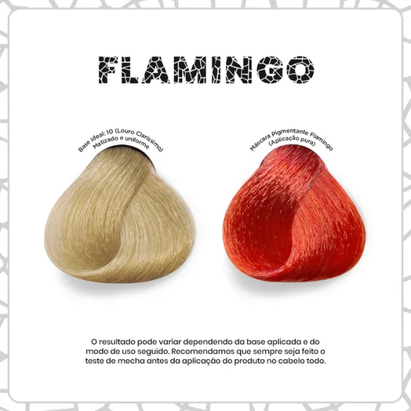 Máscara Pigmentante Flamingo 300ml - Imagem 2