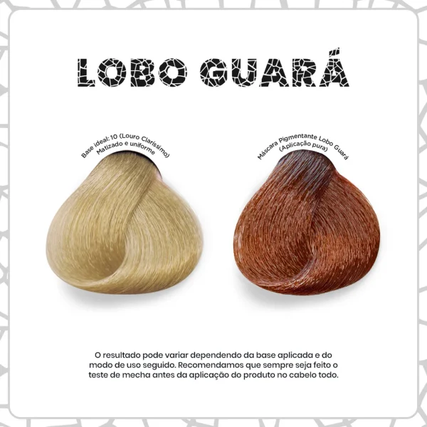 Máscara Pigmentante Lobo Guará 300ml - Imagem 2