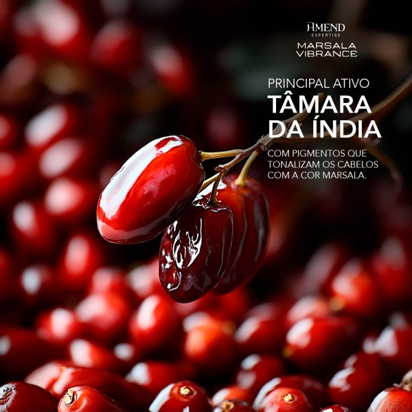 Amend Máscara Expertise Marsala Vibrance - 300g - Imagem 2